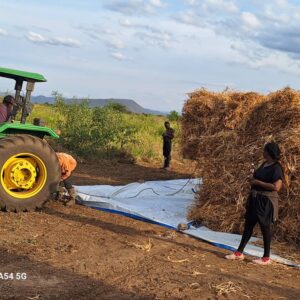 WhatsApp Image 2024-07-16 at 12.32.15_95cd6c4c