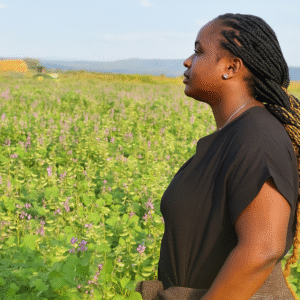 ab8c73a8-f6e3-4cee-9499-2e0bc1ef8a07